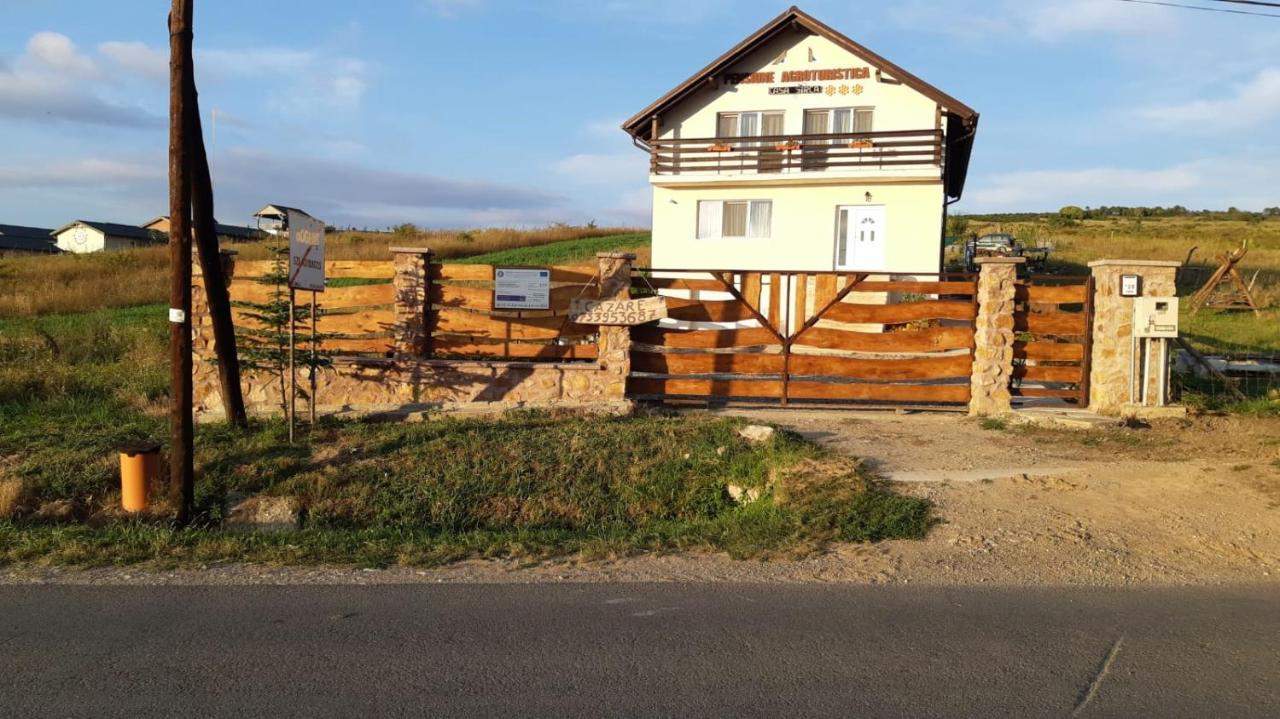 Pensiunea Agroturistica Casa Sirca Boghiş エクステリア 写真