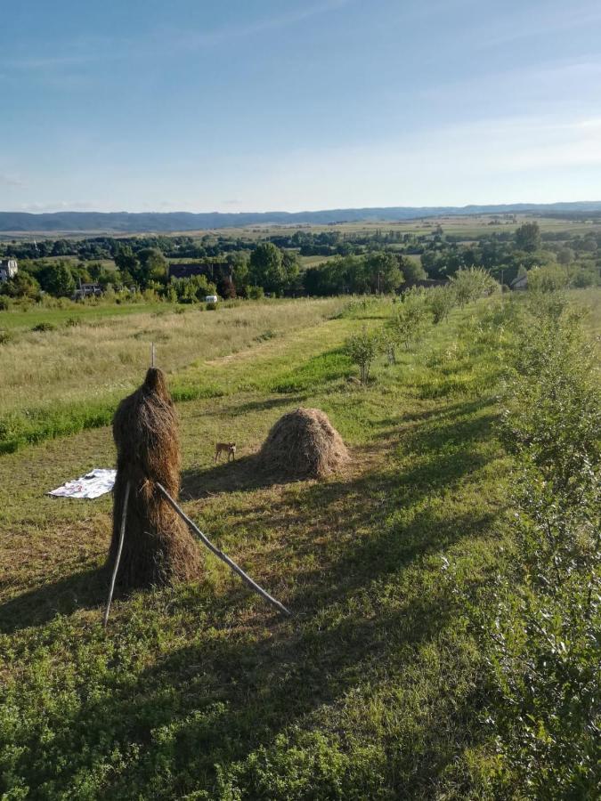 Pensiunea Agroturistica Casa Sirca Boghiş エクステリア 写真
