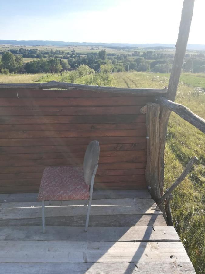 Pensiunea Agroturistica Casa Sirca Boghiş エクステリア 写真