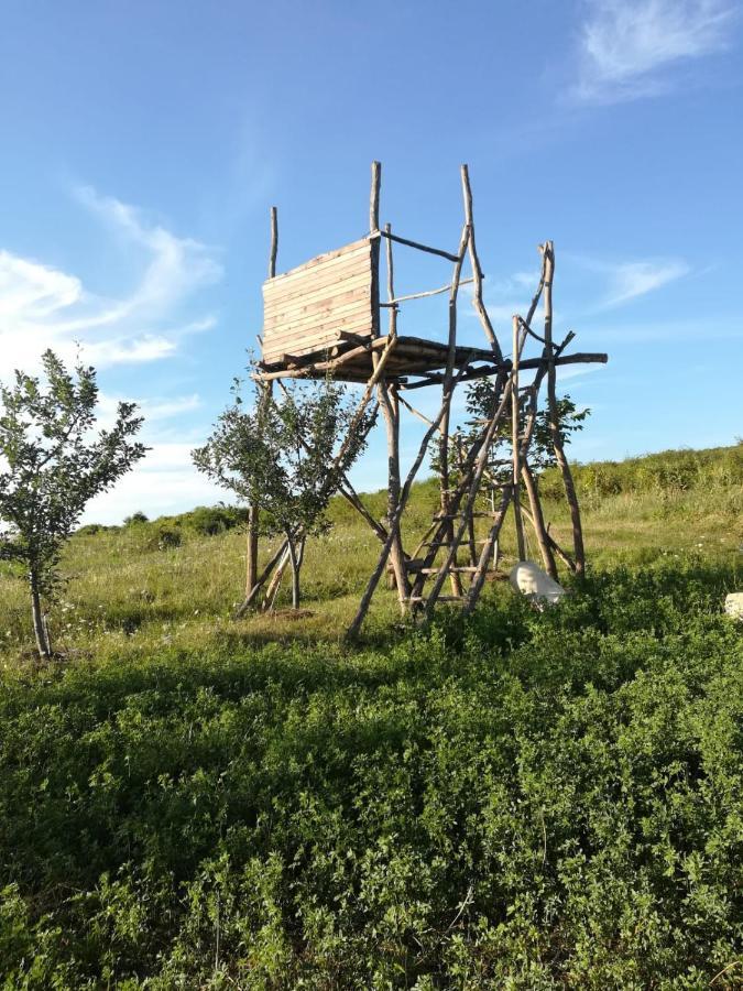 Pensiunea Agroturistica Casa Sirca Boghiş エクステリア 写真