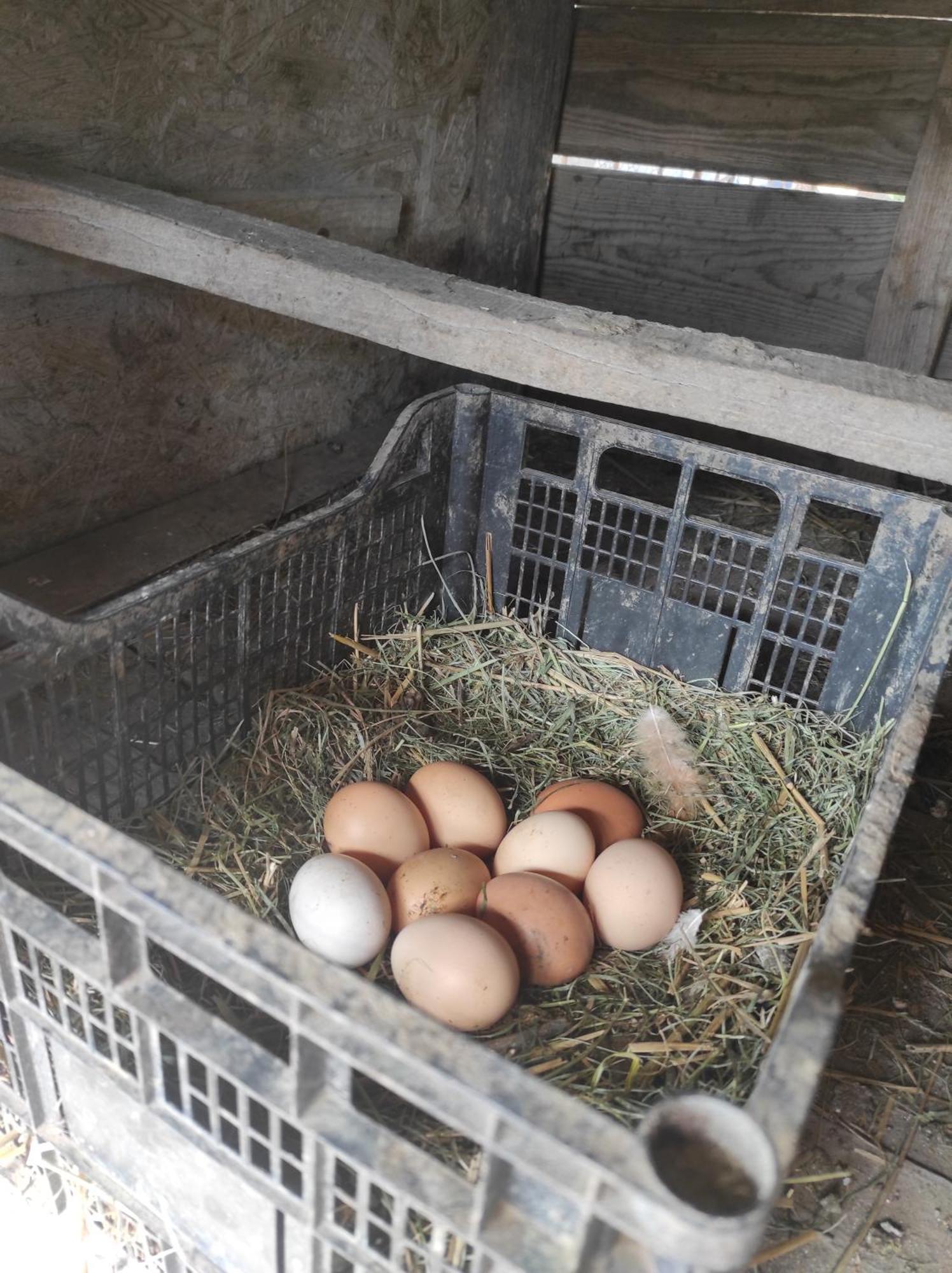 Pensiunea Agroturistica Casa Sirca Boghiş エクステリア 写真