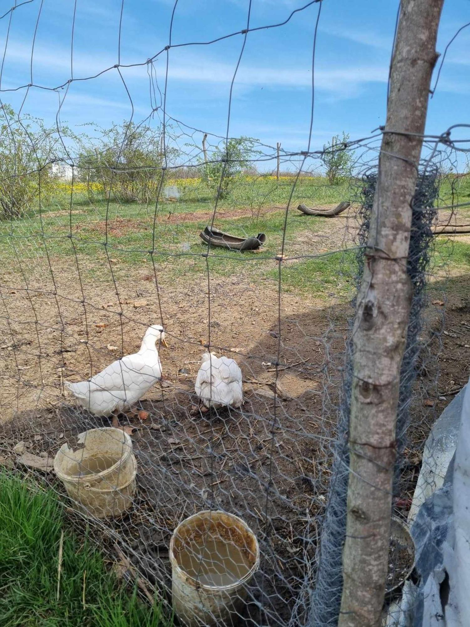 Pensiunea Agroturistica Casa Sirca Boghiş エクステリア 写真